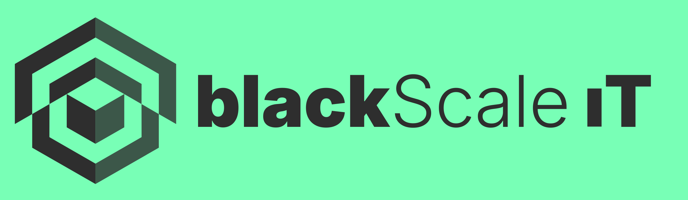blackScale iT